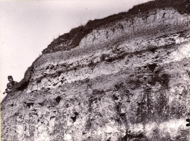 Warren Farm, Stewkley, - Lower Purbeck Formation resting upon Portland Limestone